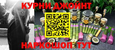 дживик Кингисепп
