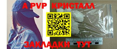 дживик Кингисепп