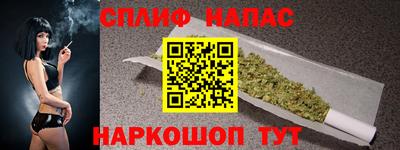 spice Кинель