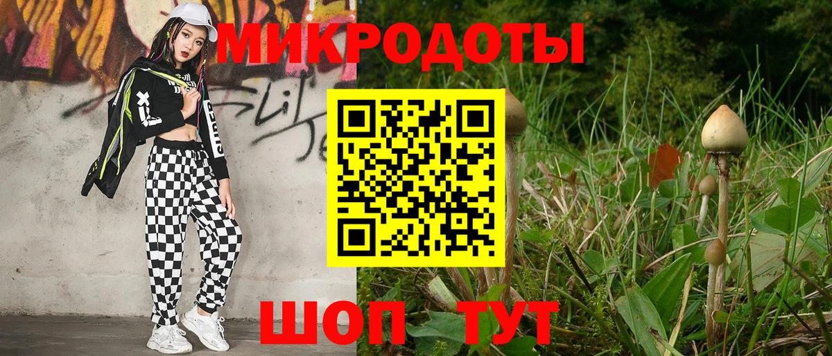 Галлюциногенные грибы Psilocybine cubensis  Вход с VPN  Карталы 