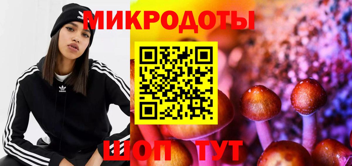 Псилоцибиновые грибы GOLDEN TEACHER Карталы